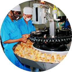 雞苗科學飼養(yǎng)及免疫指導